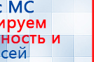 СКЭНАР-1-НТ (исполнение 01)  купить в Биробиджане, Аппараты Скэнар купить в Биробиджане, Нейродэнс ПКМ официальный сайт - denasdevice.ru