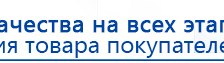 Электрод Скэнар - лицевой двойной Пешки купить в Биробиджане, Электроды Скэнар купить в Биробиджане, Нейродэнс ПКМ официальный сайт - denasdevice.ru